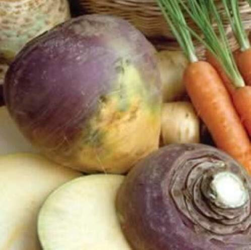 Swede - Marian - 500 Seeds - Swedish Turnip