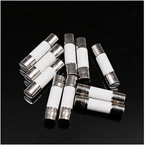 GEBBEM Sicherungen 100 Stück Keramiksicherung 5 mm x 20 mm träge T 0,5 A 1 A 2 A 3 A 4 A 5 A 6 A 8 A 10 A 13 A 15 A 20 A 30 A 250 V Sicherungsautomat Auto Cigar O (Color : 20A 100pcs)