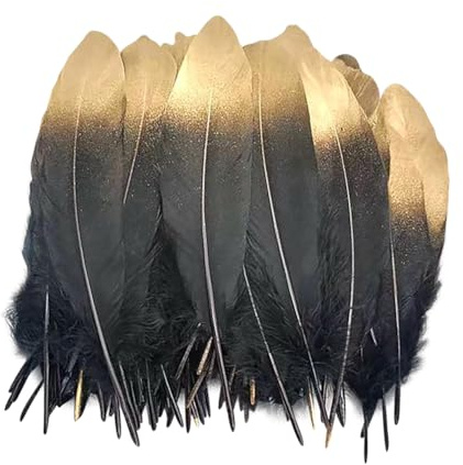 JIHUOO Natürliche Gänsefedern, getauchte goldene Federn zum Basteln, für Kuchendekoration, Hochzeit, Party, Kleidung, Accessoires, Federn, Schwarz, Gold, 50 Stück