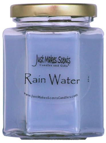 Rain Water Scented Blended Soy Candle | Clean Fresh Fragrance | Hand Poured in The USA by Just Makes Scents Candles & Gifts