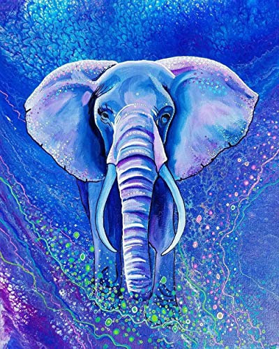 XCSQTYMY Malen Nach Zahlen Erwachsene Bunter Elefant DIY Handgemalt Ölgemälde Auf Leinwand Paint by Numbers Erwachsene Kinder für Home Wall Décor Weihnachten Geburtstag