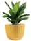 Konzept 11 - Blumentopf Groß Gelb, Übertopf 15x15cm, Pflanzentopf Geriffelt mit Untersetzer Basilikum-Topf