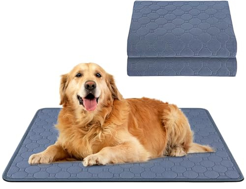 Tvättbara hygieniska mattor för hundar, 2 stycken tvättbara hundpedagoger, halkfri, utbildningsmatta för hundar, valpträningsmatta för inomhus (70 × 50 cm, grå)