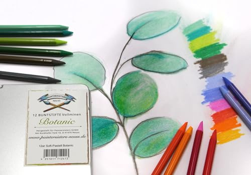 Paintersisters 12er Pastell Buntstifte ohne Holz | Künstlerfarbstifte Set in Metallbox | Verwischbare Farbstifte zum Zeichnen, Malen, Skizzieren (Botanic)