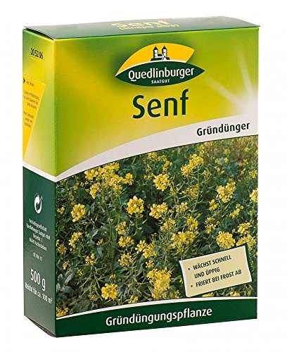 Quedlinburger 205206 Senf 500 g (Gründünger)