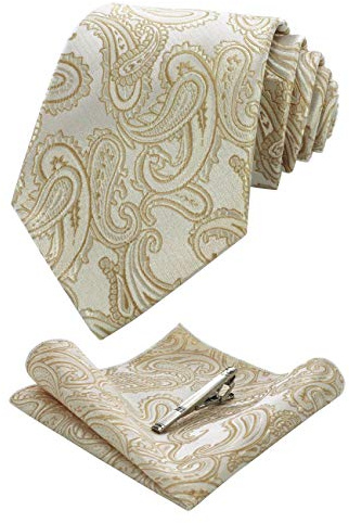 JEMYGINS Graziös Paisley Elegant Herren Krawatte und Einstecktuch mit krawattenklammer Sets