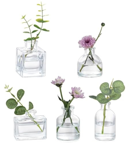 Små genomskinliga knoppvaser bulk 5-pack mini blomma glasvaser för blommor bordsuppsats bord bröllopsfest matsal dekorationer