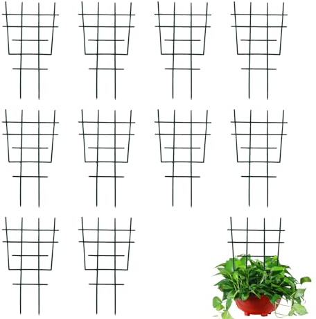 Lot de 10 Treillis pour en Pot, réglables, inoxydables, compacts, pour grimpantes - pour Lierre, clématite, Lierre Monstera