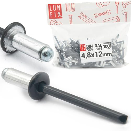 Rivetti ciechi in alluminio Pop Rivetti in acciaio, DIN 7337, 4,8 x 12 mm, 100 pezzi, RAL 7016, grigio antracite