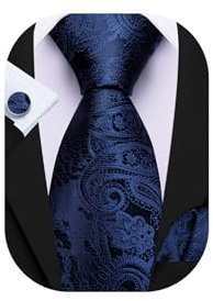 Barry.Wang Navy Blue Paisley Tie Mens Silk Necktie Pocket Square Cufflinks Set Formal Wedding Party