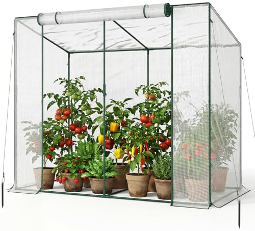 SUNYRISY Tomaten Gewächshaus Foliengewächshaus 200x100x170 cm | Tomatengewächshaus Balkon, klein Greenhouse Tomatenzelt mit Rollentür, Schrägdach, Stabil und Langlebig