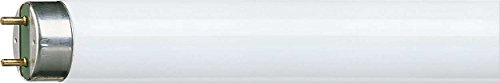 Philips Master TL-D HF Super 80 32W G13A + Cool White Fluorescent Bulb - Fluorescent Bulbs (32W Tube, T8, G13, 3200 Lumen, Cool White)