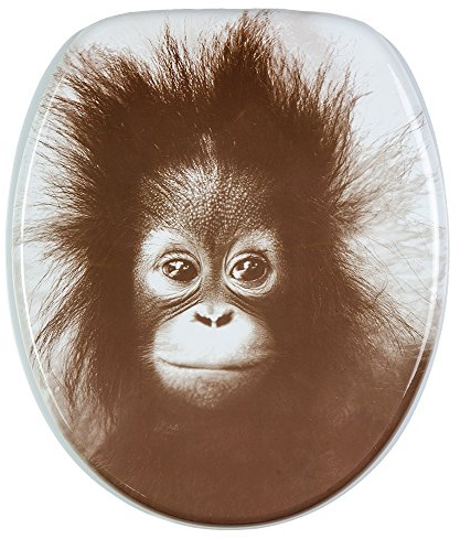 Sanilo WC Sitz mit Absenkautomatik, hochwertiger Toilettendeckel, einfache Montage, stabile Scharniere, Alfred