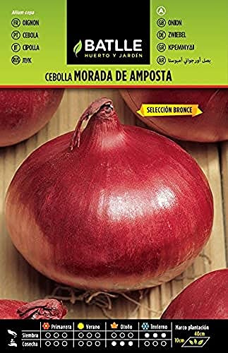 Semillas Batlle Graines d’Oignon Violet d'Amposta, Bronze