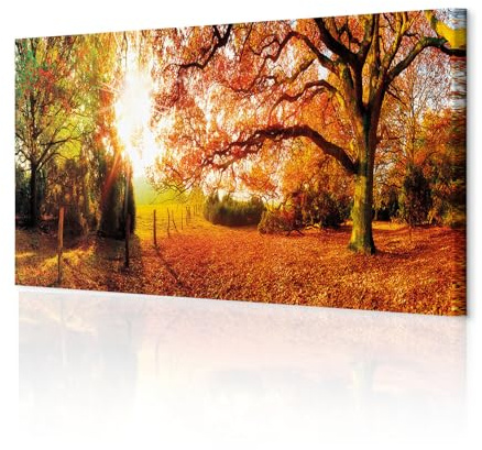 decomonkey Bilder Wald Herbst 150x50 cm XXL 1 Teilig Leinwandbilder Natur | Strukturleinwand, Holzkeilrahmen, Bild auf Leinwand, Wandbild, Kunstdruck, Wanddeko, Wohnzimmer, Wanddekoration, Landschaft