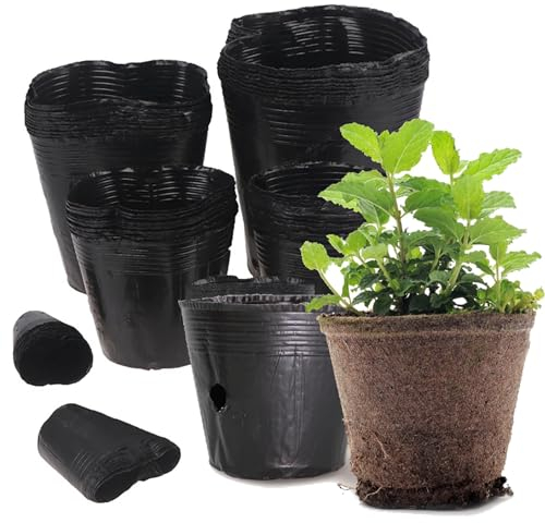 MIKONI Anzuchttöpfe Anzuchtschale Aussaattöpfe Ziehtöpfe Anzuchttopf SCHWARZ, 2-Modelle (100, Ø 9 cm)