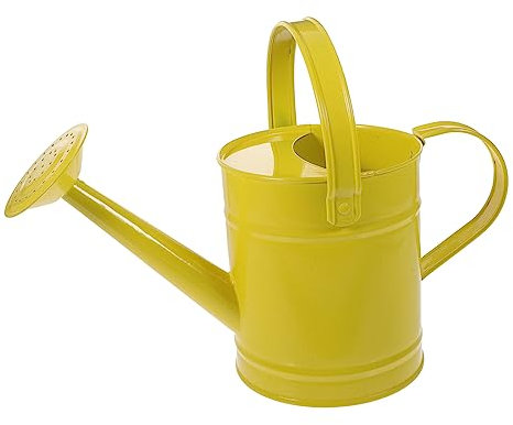 POPETPOP Garten Gießkanne Mini Wasserkocher Bewässerungseimer Für Den Außenbereich Bewässerungssprüher Blumengießkanne Gießkanne Aus Metall Trinkflasche Draussen Anlage Pflanze Eisen Kind
