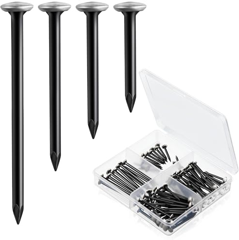 Enhon Juego de 120 Clavos para Cuadros (20/25/30/40mm) Clavos de Acero Inoxidable con Cabeza Dorada para Hormigón Ladrillo Madera Sin Taladrar Protege Paredes Incl Caja Organizadora de Compartimentos