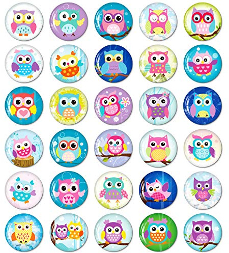 30PCS Eule Kühlschrankmagnete für Kühlschrank Nette Lustige Magnete Küche Schulschränke Klassenzimmer Whiteboard Büro Kabine Magnettafel Dekorative Magnete Geschenke für Erwachsene Kinder