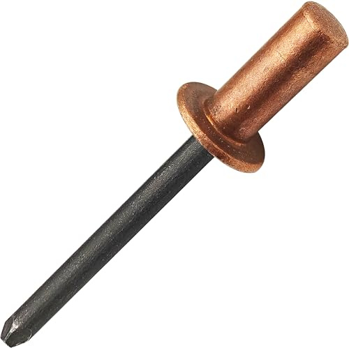 Rivets Aveugles à Extrémité Fermée de 30 pièces, Ø4.8x16mm - Tête de Dôme en Cuivre Avec Mandrin en Acier, Rivets Pop Scellés