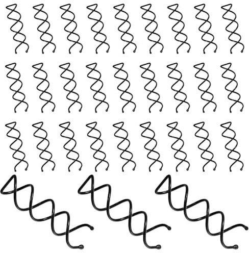 30 Schwarz Spiral Pin, Spiral Haarnadeln, Haarstyling Spiralförmig, kratzfeste Runde Klammer & Dutt-Twist für Mädchen und Frauen, Perfekt Modische Kleine Dutt-Haarnadeln