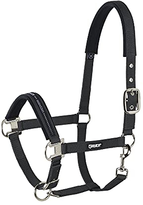 Standard Halfter PIN BUCKLE