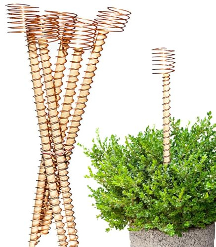 Uoqpty Kupfer-Gartenstäbe - 6er-Set Elektrokultur-Pflanzstab Gartenwerkzeug | Elektronische 30 cm Gartenstäbe Für Höheren Ertrag Bei Pflanzen Terrasse Balkon Gartenbau