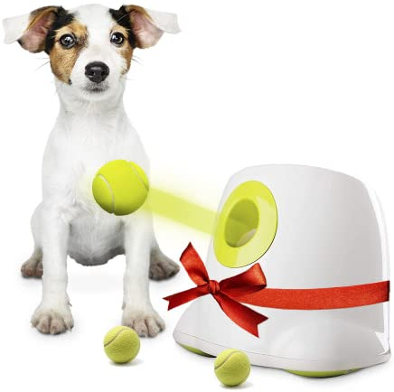 BOT lanciatore automatico per cani, con 3 palline per cani, per cani di piccola taglia, giocattolo interattivo per la casa e l'esterno (Ifetch Mini 5 cm)