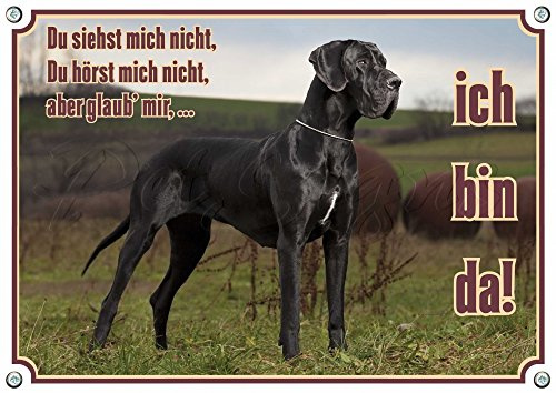 Hundeschild Deutsche Dogge - Great Dane - DU SIEHST MICH NICHT, , DIN A4
