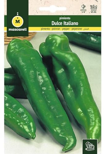 Mascarell Semillas, PIMIENTO, Semillas Huerto, PIMIENTO DULCE ITALIANO, Crea tu Propio Huerto Urbano y Cultivo en Casa, Plantas Hortícolas, 1 Gramos