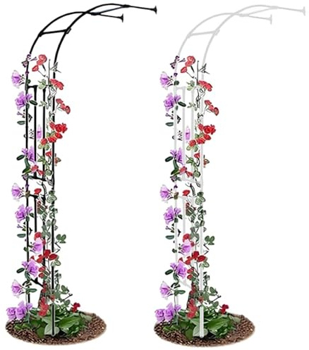 Demi-arche de jardin en métal robuste résistant aux intempéries pour plantes grimpantes et décoration de pelouse Blanc élégant Dimensions 200 x 240 cm