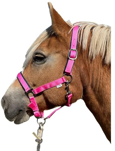 Brama West Halfter Pferd - Weidehalfter aus Nylon gepolstert - Stallhelfter verstellbar - in 3 Farben (Pink, Pony)
