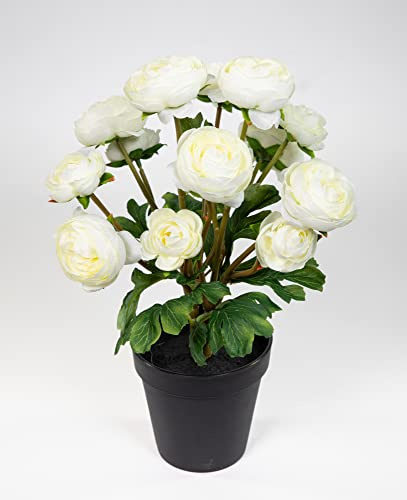 Seidenblumen Roß Ranunkelbusch Natural 32cm weiß im Topf DP Kunstpflanzen Kunstblumen künstliche Ranunkel Blumen