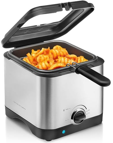 DISHENGZHEN Deep Fryer 1000W, 2.5 Litre Deep Fat Fryer with Viewing Window, Stainless Steel, Temperature Control, Removable Oil Basket, Easy to Clean, Electric Chip Fryer for Fried Chicken, Shrimp