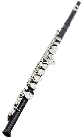C-Flöte für Anfänger Flöte 16 Geschlossene Offene Löcher C-Taste Flöte Holzblasinstrument Konzertflöte Professionelle Flöte Mit E-Taste Anfänger-Set(Black)
