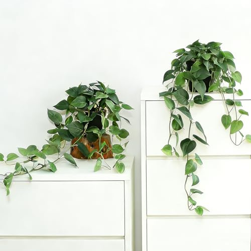 CCPanda Fake Pothos Hanging Plants with Pots, 33.5 Set of 2 Faux Ivy Vines, Realistic Silk Artificial Plants Greenery for Home Indoor Decor, Living Room, Desk Shelf, Bathroom Decoration