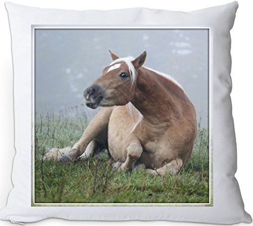 Nanyuk +++ Haflinger Pferd - Kuschelkissen/Kissen | Pillow/Dekokissen - HFL 40