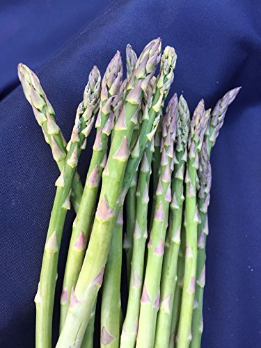 ASPARAGI Mary Washington, perché è stata selezionata per due anni CORONE VECCHIE, in 10 anni