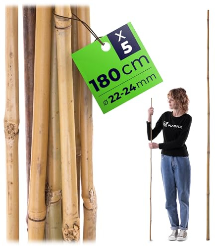 KADAX Bambusstäbe 180cm x 22/24mm, 5er Set, Pflanzstäbe aus Bambus, Bambusstangen als Rankhilfe für Tomatenpflanzen & Kletterpflanzen, Pflanzenstütze