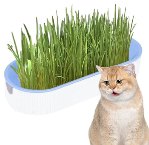 Cat Grass Set - Cat Snacks Set, Grass Plant Growing | Cat Grass Shape Sprouting Tray, Digestion Pet Food Plant Pot for Indoor Home Catnip Indoor Nursery Balcony Patio, White, 21x9.2x4.5cm