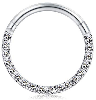 Briana Williams Nasenring Septum Clicker 16G 8mm 10mm Chirurgenstahl Segmentring Tragus Helix Daith Piercing Ring