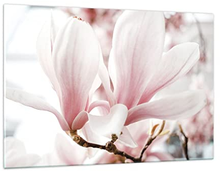 ARTTOR Decoracion Salon Ramita Magnolia Flor Vidrios decorativos 120x80cm Cuadro Sobre Vidrio Moderno Cocina Cuadros Pared Impresiones Impresión en Cristal Wall Art Prints Grande XXL GAA120x80-4538