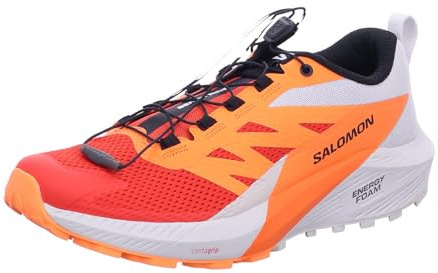 Salomon Sense Ride 5 GTX Trailrunningschuhe India Ink/Carbon/Dragon Fire UK