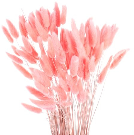 QUARKZMAN Hasenschwanzgras Getrocknet - Rosa, 120 Stück Getrocknete Blumen, 45cm Pampasgras Natürlicher für Florale Hochzeitsdekoration Weihnachten