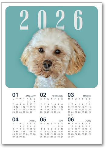 Kalender 2026 personalisiert – Individuelles Haustierporträt aus Foto A4 A3 A2 Wandkalender mit Name – 6 Monate oder Jahreskalender, Geschenk für Tierbesitzer