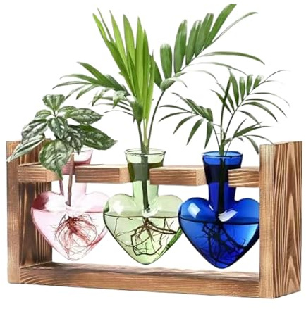 Estación de propagación de plantas, terrario de vidrio en forma de corazón, maceta hidropónica de escritorio con soporte de madera, jarrón floral vintage, exhibición estética de vegetación, regalo de
