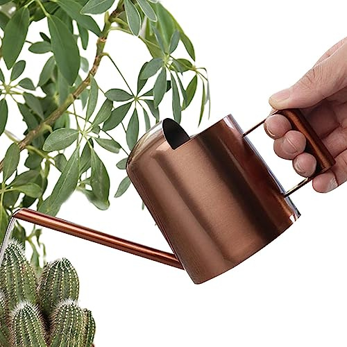 Arrosoir avec Long Bec - en Acier Inoxydable - pour Serre Cactus et Outils Jardin - arrosoir 10 oz Pomurom