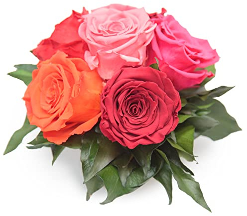 ROSEMARIE SCHULZ Heidelberg Blumengesteck Infinity Rosenbox 6 rotgemischte Rosen und Efeublätter - 3 Jahre haltbar