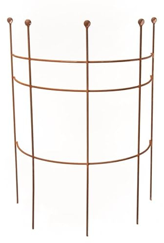 ecosoul Staudenhalter Strauchhalter Staudenstütze Rankgerüst halbrund braun Rost Rankhilfe Metall Eisen Deko 85cm hoch 1 Stück (60cm breit x 85cm hoch)
