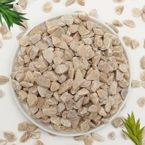 Lechloris Ghiaia di piselli da 2,3 kg di rocce naturali di fiume, ghiaia decorativa per piante, piccoli ciottoli, ideale per acquari, acquari, vasi, piante grasse, decorazioni per la casa, giardino